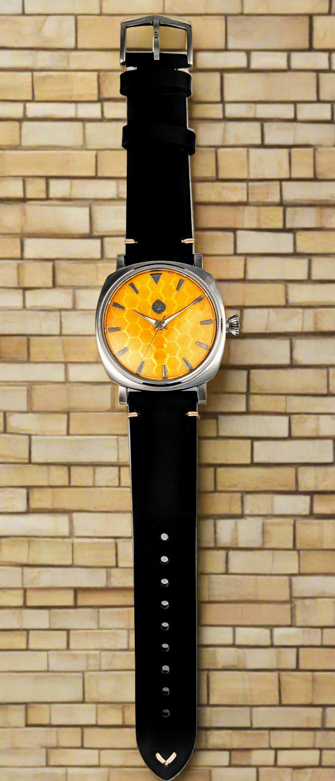 PAROS Watch Pennsylvania USA