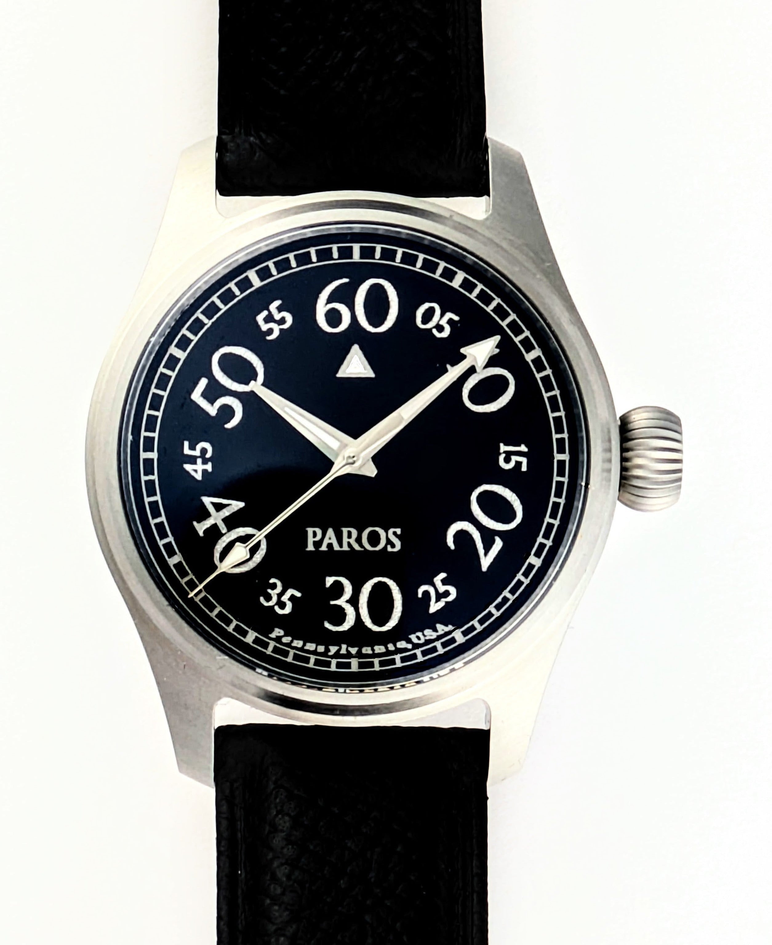 パルナシウス/P.sacerdos（スイス・アルプス産、1オス） Soloist - Tuxedo Black Automatic watch – PAROS